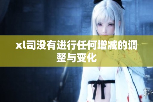 xl司没有进行任何增减的调整与变化