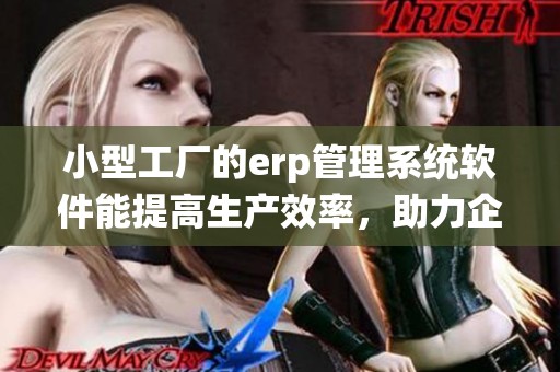 小型工厂的erp管理系统软件能提高生产效率，助力企业快速发展