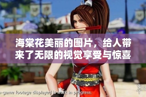 海棠花美丽的图片，给人带来了无限的视觉享受与惊喜。