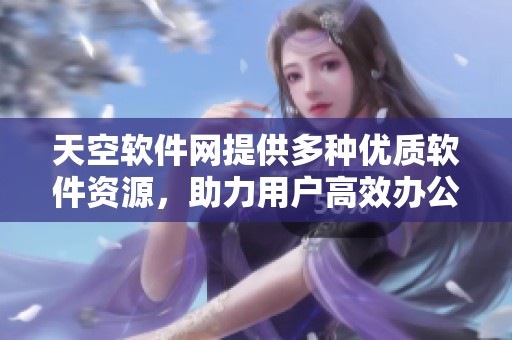 天空软件网提供多种优质软件资源，助力用户高效办公的理想平台