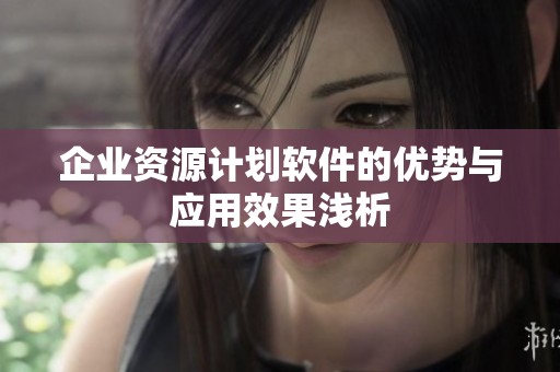 企业资源计划软件的优势与应用效果浅析