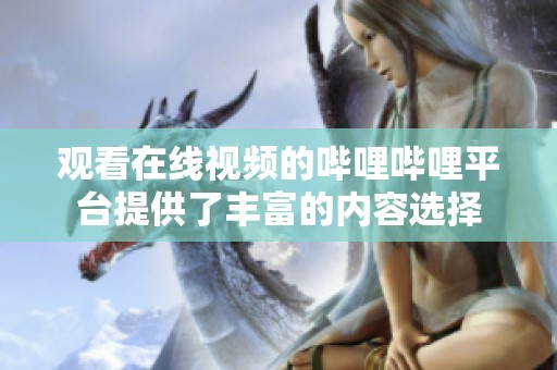 观看在线视频的哔哩哔哩平台提供了丰富的内容选择