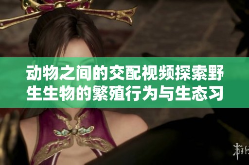 动物之间的交配视频探索野生生物的繁殖行为与生态习性