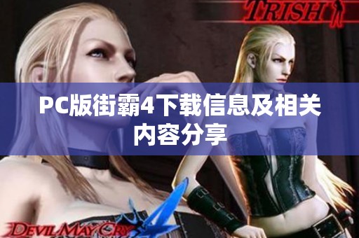 PC版街霸4下载信息及相关内容分享