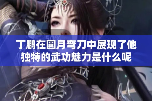 丁鹏在圆月弯刀中展现了他独特的武功魅力是什么呢