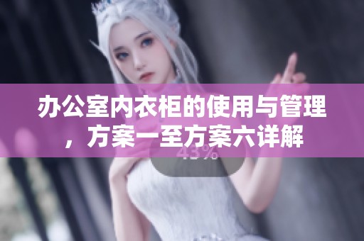 办公室内衣柜的使用与管理，方案一至方案六详解