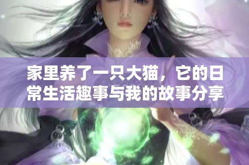 家里养了一只大猫，它的日常生活趣事与我的故事分享