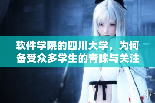 软件学院的四川大学，为何备受众多学生的青睐与关注呢