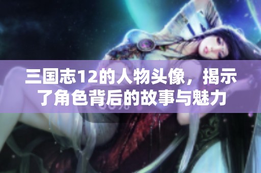三国志12的人物头像，揭示了角色背后的故事与魅力