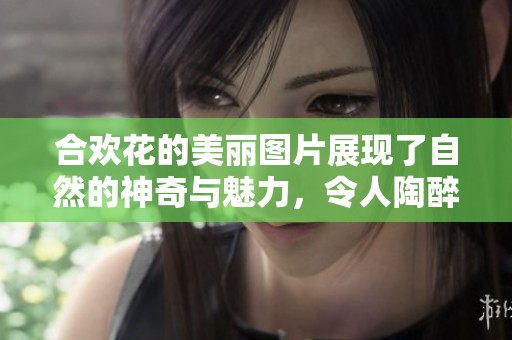 合欢花的美丽图片展现了自然的神奇与魅力，令人陶醉不已。