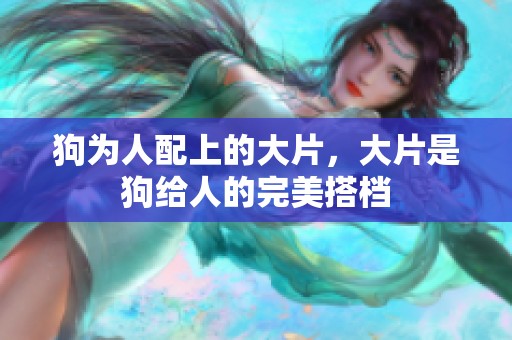 狗为人配上的大片，大片是狗给人的完美搭档
