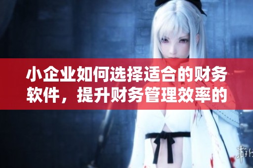 小企业如何选择适合的财务软件，提升财务管理效率的方法揭秘