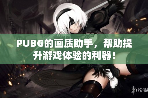 PUBG的画质助手，帮助提升游戏体验的利器！