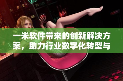 一米软件带来的创新解决方案，助力行业数字化转型与升级。