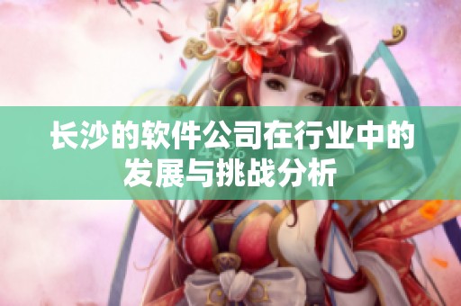 长沙的软件公司在行业中的发展与挑战分析