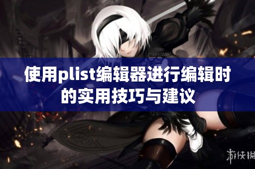 使用plist编辑器进行编辑时的实用技巧与建议