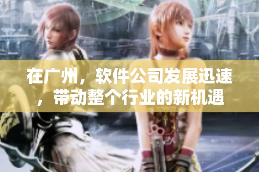 在广州，软件公司发展迅速，带动整个行业的新机遇