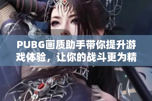 PUBG画质助手带你提升游戏体验，让你的战斗更为精彩！