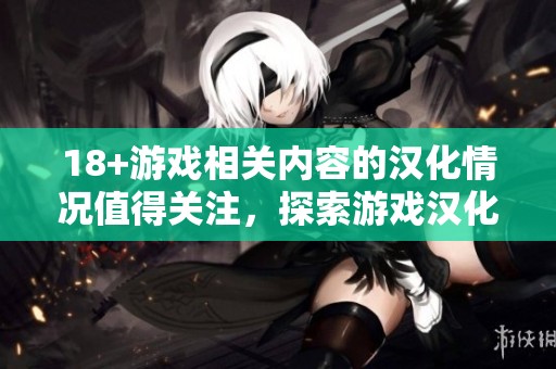 18+游戏相关内容的汉化情况值得关注，探索游戏汉化的深层次影响和发展