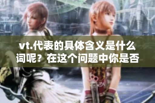 vt.代表的具体含义是什么词呢？在这个问题中你是否好奇呢？