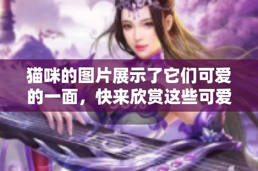 猫咪的图片展示了它们可爱的一面，快来欣赏这些可爱的猫咪吧