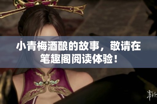 小青梅酒酿的故事，敬请在笔趣阁阅读体验！