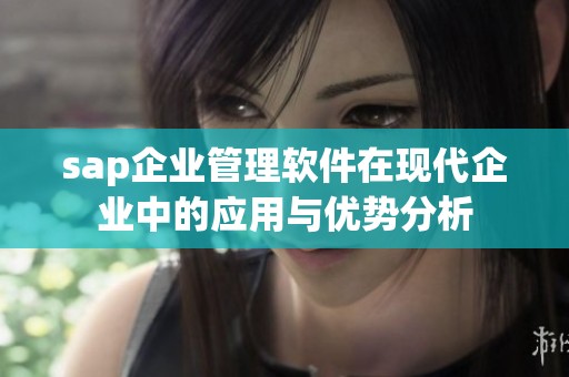 sap企业管理软件在现代企业中的应用与优势分析