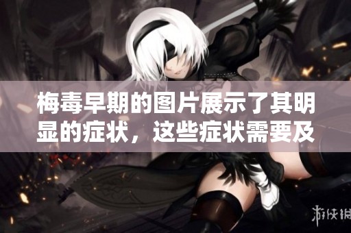 梅毒早期的图片展示了其明显的症状，这些症状需要及时关注和治疗