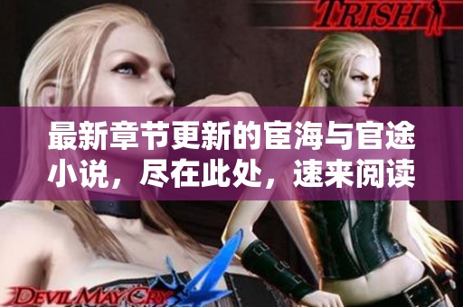 最新章节更新的宦海与官途小说，尽在此处，速来阅读吧！