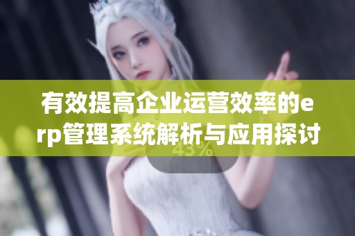 有效提高企业运营效率的erp管理系统解析与应用探讨
