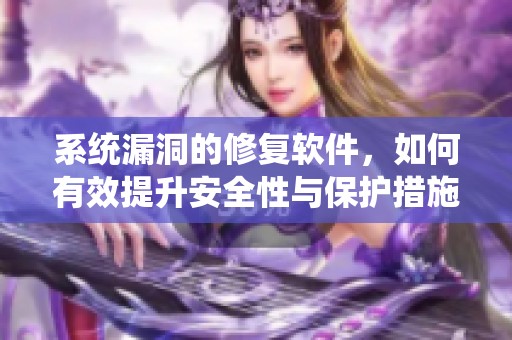 系统漏洞的修复软件，如何有效提升安全性与保护措施