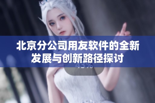 北京分公司用友软件的全新发展与创新路径探讨