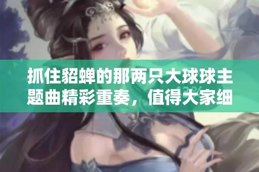 抓住貂蝉的那两只大球球主题曲精彩重奏，值得大家细细品味与欣赏！
