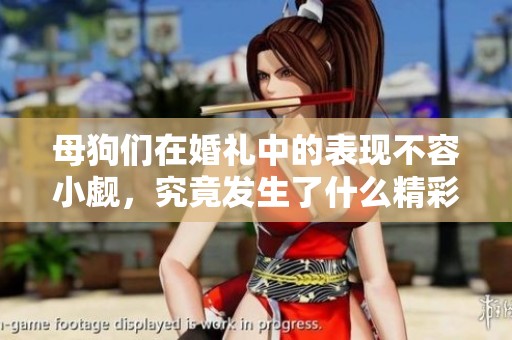 母狗们在婚礼中的表现不容小觑，究竟发生了什么精彩故事？