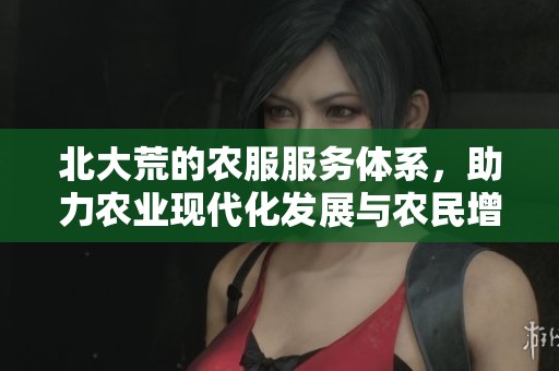 北大荒的农服服务体系，助力农业现代化发展与农民增收。