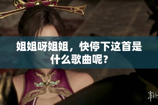 姐姐呀姐姐，快停下这首是什么歌曲呢？