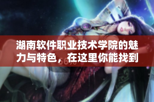 湖南软件职业技术学院的魅力与特色，在这里你能找到未来的方向