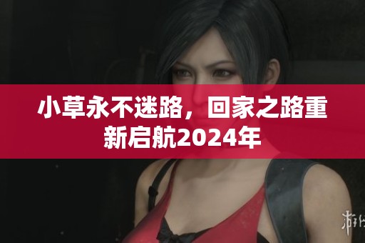 小草永不迷路，回家之路重新启航2024年