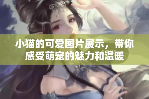 小猫的可爱图片展示，带你感受萌宠的魅力和温暖