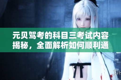 元贝驾考的科目三考试内容揭秘，全面解析如何顺利通过科目三考试