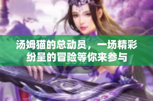 汤姆猫的总动员，一场精彩纷呈的冒险等你来参与