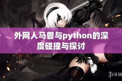 外网人马兽与python的深度碰撞与探讨