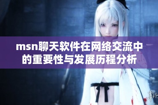 msn聊天软件在网络交流中的重要性与发展历程分析