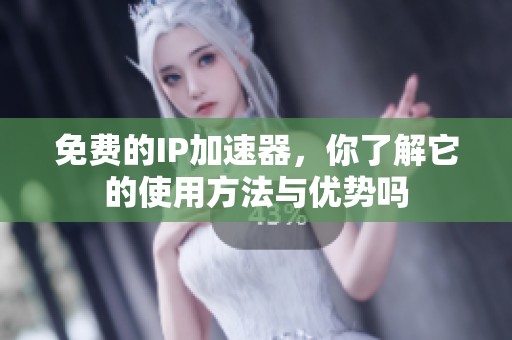 免费的IP加速器，你了解它的使用方法与优势吗
