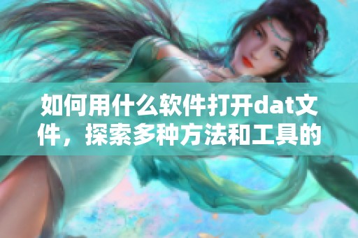如何用什么软件打开dat文件，探索多种方法和工具的选择