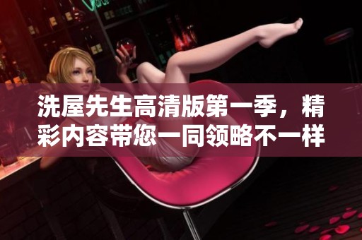 洗屋先生高清版第一季，精彩内容带您一同领略不一样的故事。