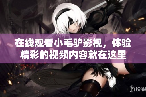 在线观看小毛驴影视，体验精彩的视频内容就在这里