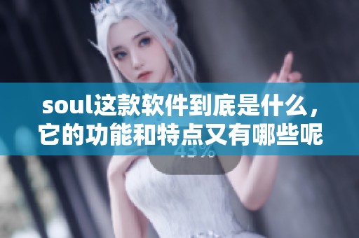 soul这款软件到底是什么，它的功能和特点又有哪些呢