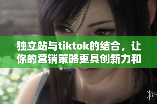 独立站与tiktok的结合，让你的营销策略更具创新力和吸引力