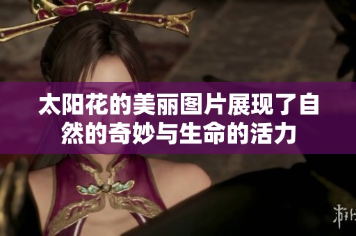 太阳花的美丽图片展现了自然的奇妙与生命的活力